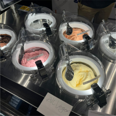 Live Pozzetti Gelato Ice Cream Machine Máy làm kem gelato