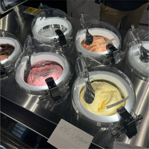 Live Pozzetti Gelato Ice Cream Machine Máy làm kem gelato