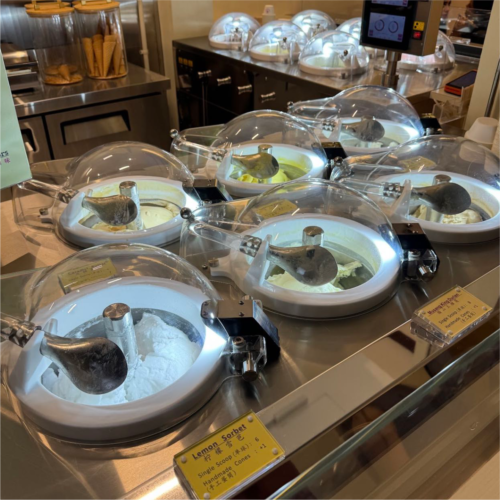Live Pozzetti Gelato Ice Cream Machine Máy làm kem gelato