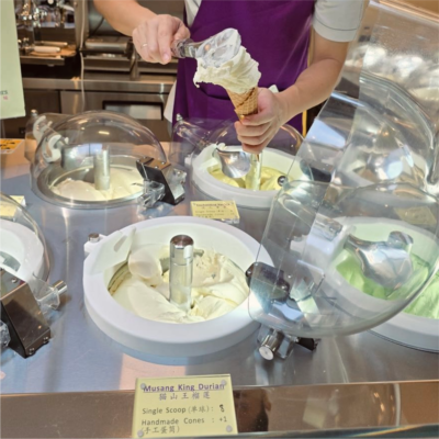 Live Pozzetti Gelato Ice Cream Machine Máy làm kem gelato