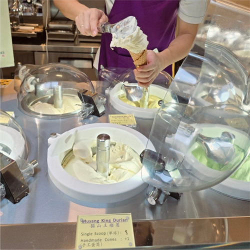 Live Pozzetti Gelato Ice Cream Machine Máy làm kem gelato